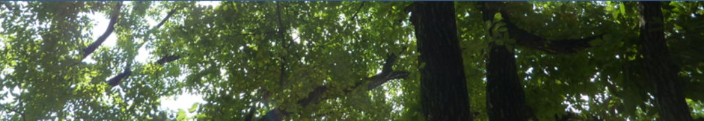 ハロウィン、注目の話題！！