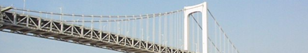 着る毛布がヤバイみたいですね。