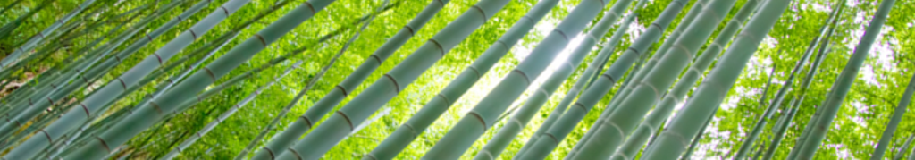 TATTLYに興味をもちました。