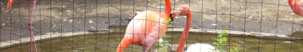 ジェリーチューブ、最新の話題提供