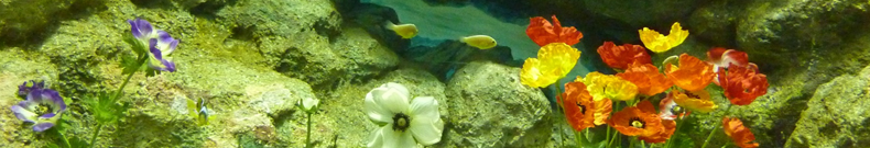 キャビアネイルに注目してみた！！