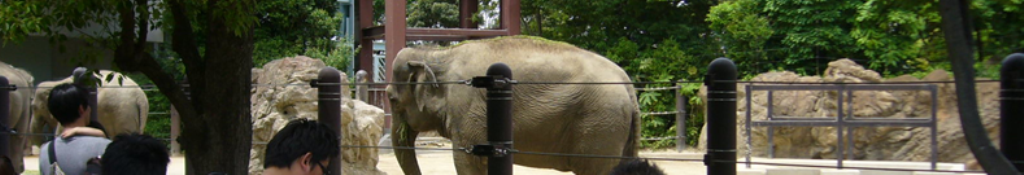 ローファーのココが気になる！！