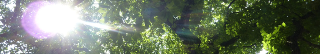 討鬼伝にこんな事実が！！