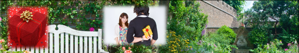 とうもろこしについてのネットニュース