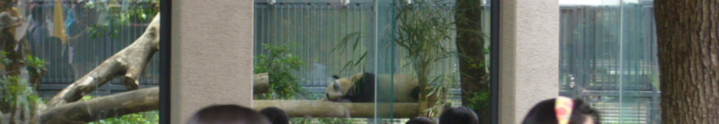 メリッサ ジグザグについて調べてみましょう。