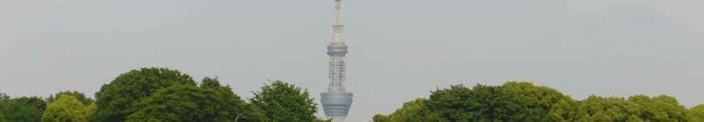 スピルリナに興味があります！！