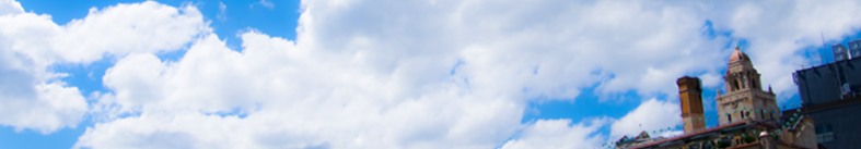 そうめんの最新ニュース解説